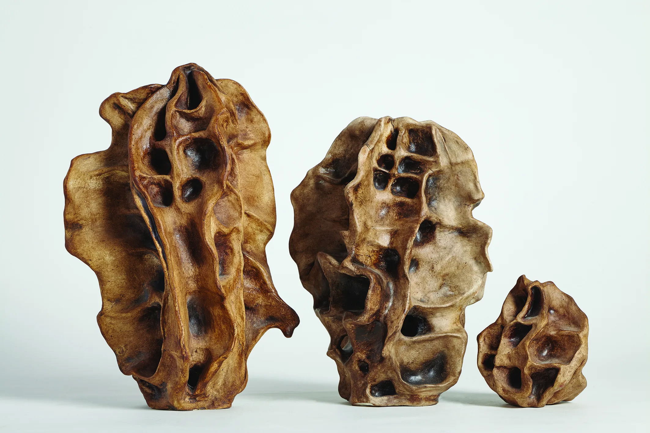 Bellini-ghiande-di-pesco